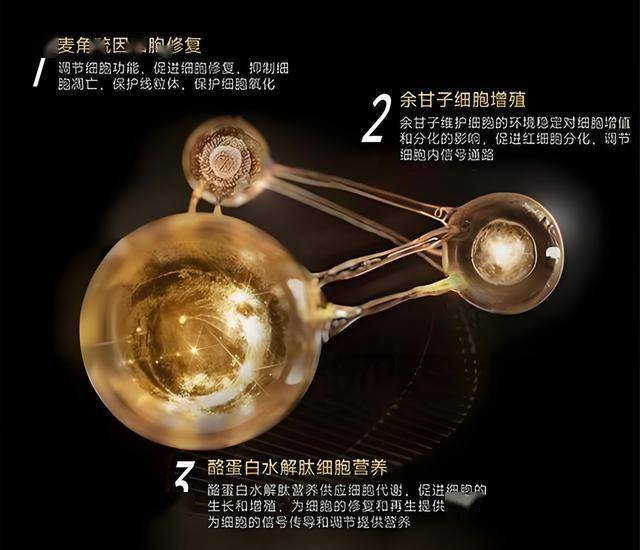 外汇平台蓝莓：你是否准备好迎接2025年的理财新机遇？